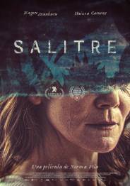 Salitre